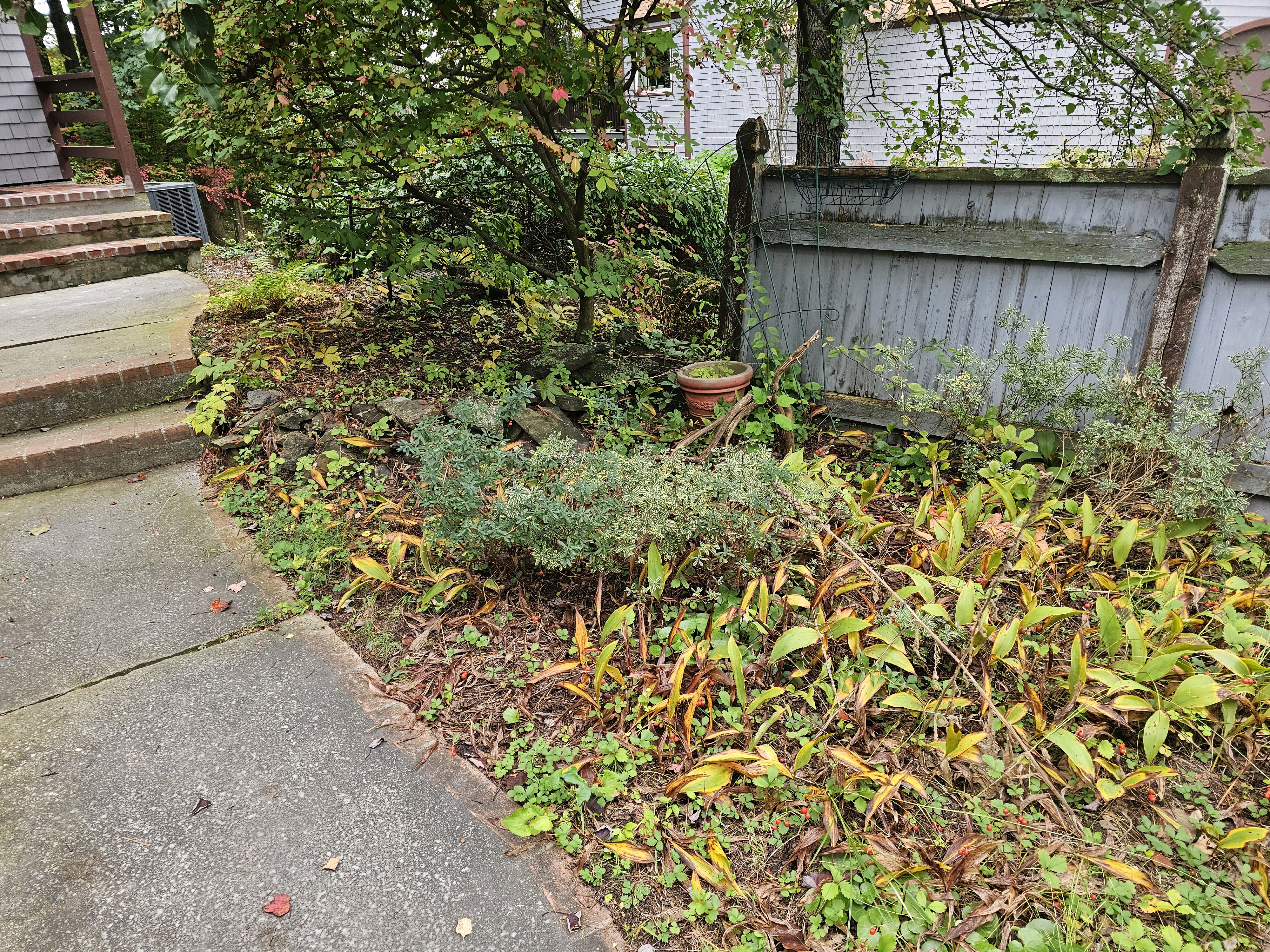 Weeds and messy